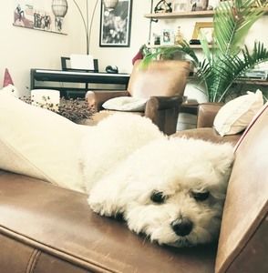 Meet your Posher, Kim